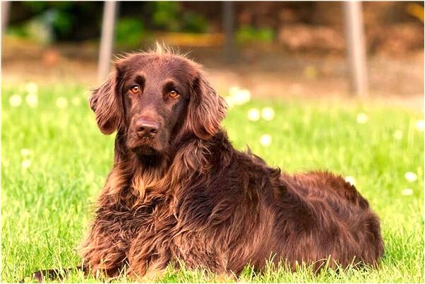 夢到陌生的女人是什麼意思？_周公解夢官網