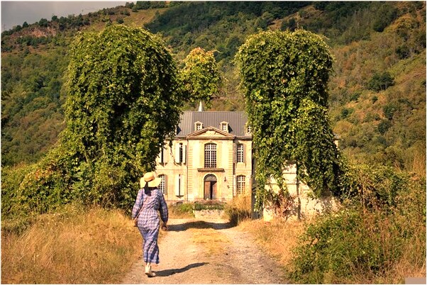 夢到晚上狗咬屁股怎么說_周公解夢官網