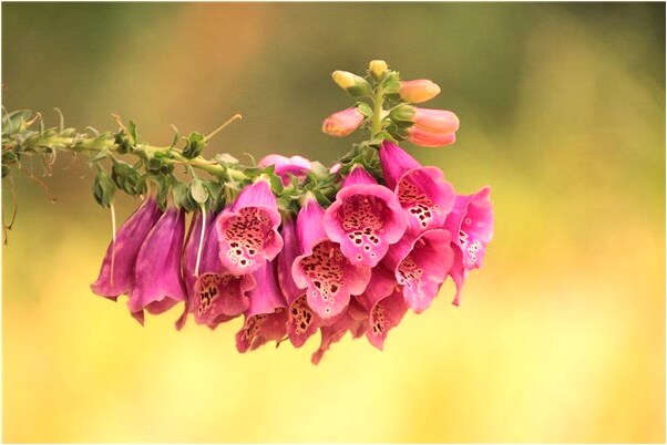 夢到幫別人鎖門鎖窗戶是什麼啟示_周公解夢官網