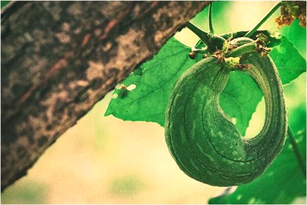 夢到了一女子睡在我旁邊預示什麼_周公解夢官網