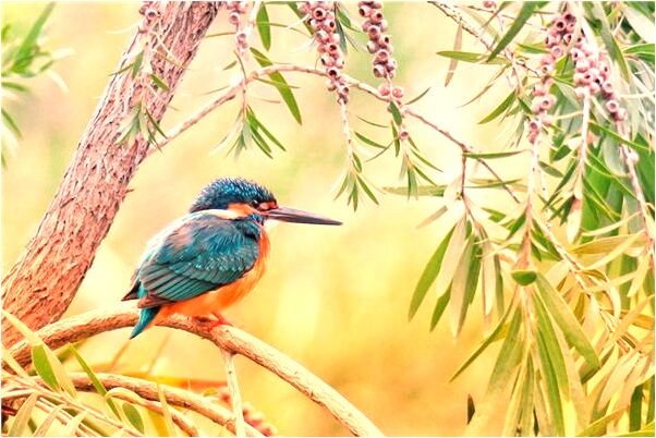 夢到了別人來家裡大便意味著什麼_周公解夢官網