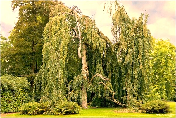 夢到考試錯了一道題是不是好的徵兆呢_周公解夢官網