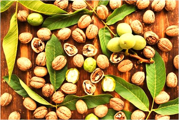 夢到了別人替我梳頭是什麼預兆？_周公解夢官網