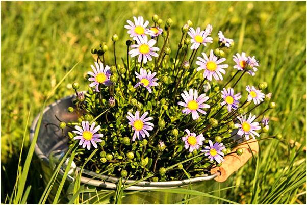 夢到國中同學喜歡我有什麼徵兆_周公解夢官網