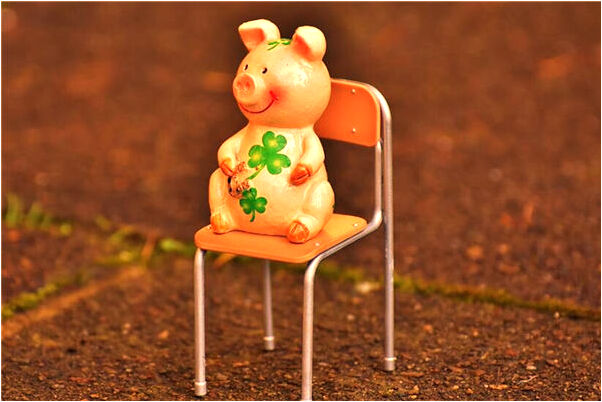 夢到了將要收穫的棉花田是什麼預兆_周公解夢官網