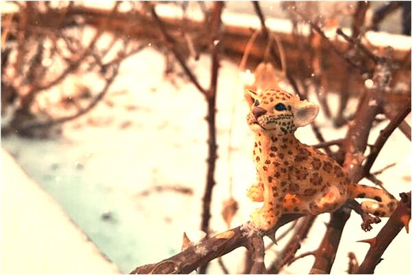 夢到自己的牙被新長出的牙拱掉有什麼說法_周公解夢官網