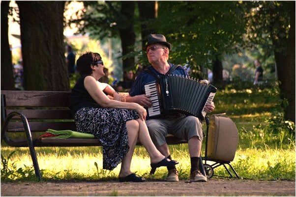 夢見蟾蜍類的太歲怎么樣_周公解夢官網