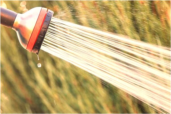 夢到了父母生男孩有什麼寓意嗎？_周公解夢官網