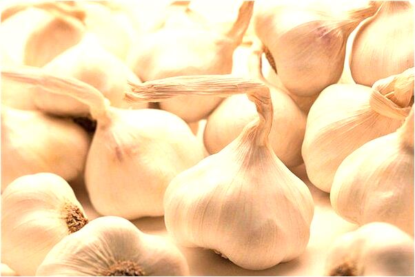 夢見好多蟒蛇頭都被綁住了是不是好的徵兆呢_周公解夢官網