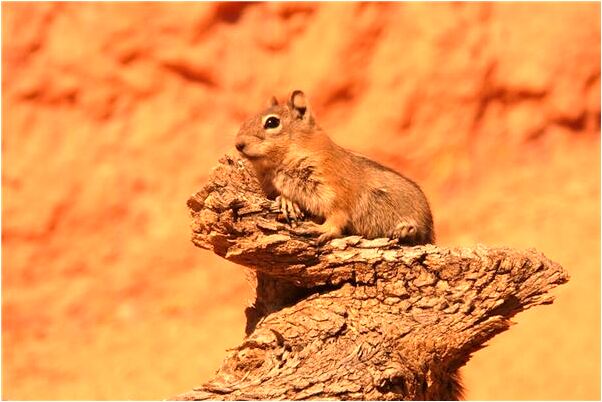 夢見襄垣金威超市是什麼意思？_周公解夢官網