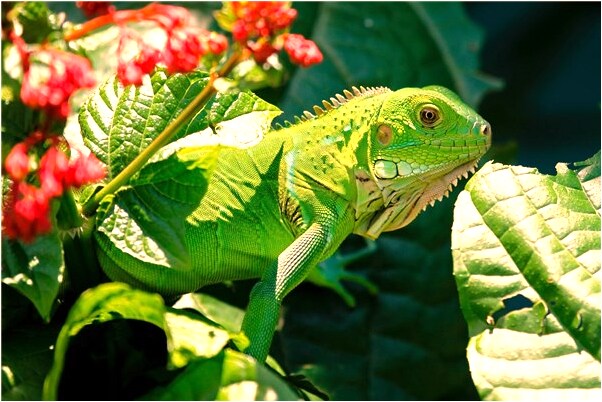 夢到了前男友罵我我打他是什麼預兆？_周公解夢官網