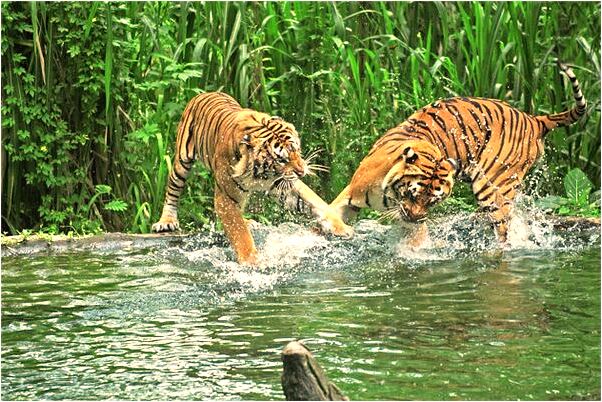 夢到了別人踢死小孩什麼預兆_周公解夢官網