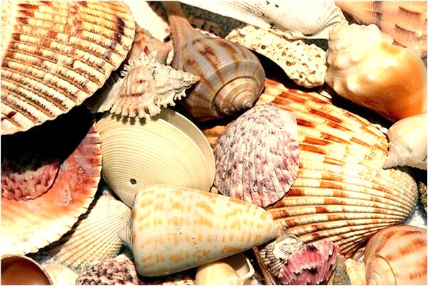 夢見好多男人有什麼意思嗎_周公解夢官網