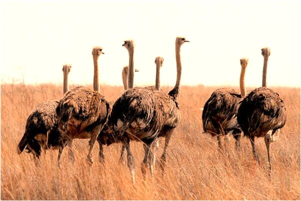 夢到抱嬰兒掉地是什麼徵兆_周公解夢官網