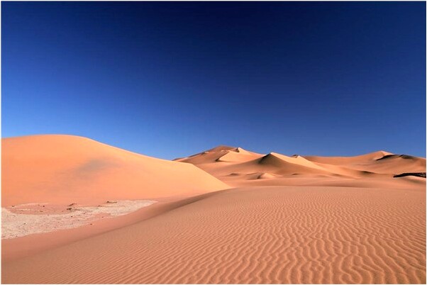 夢到了抱住黑狗有什麼意思嗎_周公解夢官網