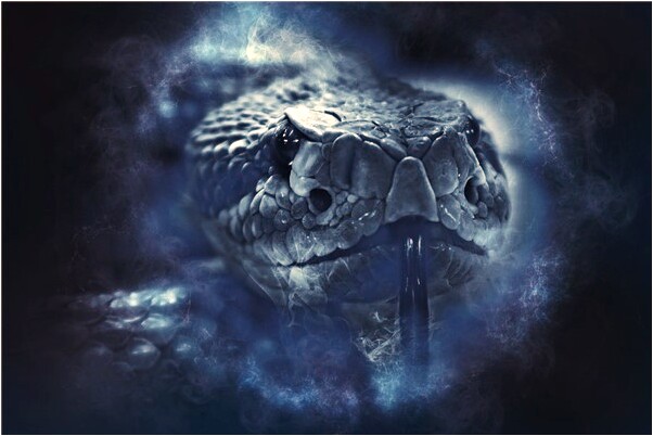 夢到了滿屋子的人說孩子們打架會是什麼預兆_周公解夢官網