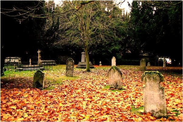 夢到朋友拿我的褲子去買一樣的是什麼徵兆_周公解夢官網