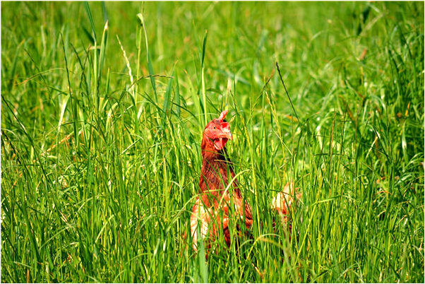 夢到死人詐屍是咋回事_周公解夢官網