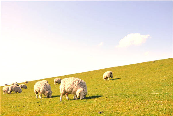 夢到吐口香糖有什麼寓意嗎？_周公解夢官網