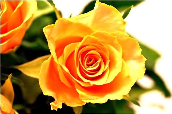 夢到死去的奶奶爺爺上吊意味著什麼_周公解夢官網