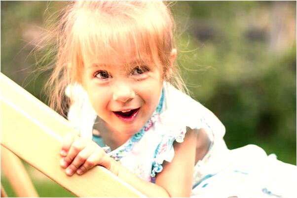 夢見大狗跟著我有什麼預示嗎_周公解夢官網