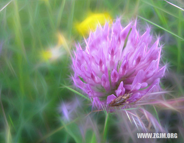 夢見老公裸身_周公解夢夢到老公裸身是什麼意思_做夢夢見老公裸身好不好_周公解夢官網