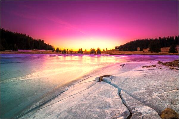 夢到了殺烏雞有什麼意思嗎_周公解夢官網