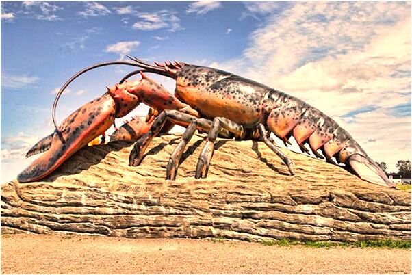 夢見親人一邊的房孑成燒黑是不是好的徵兆呢_周公解夢官網