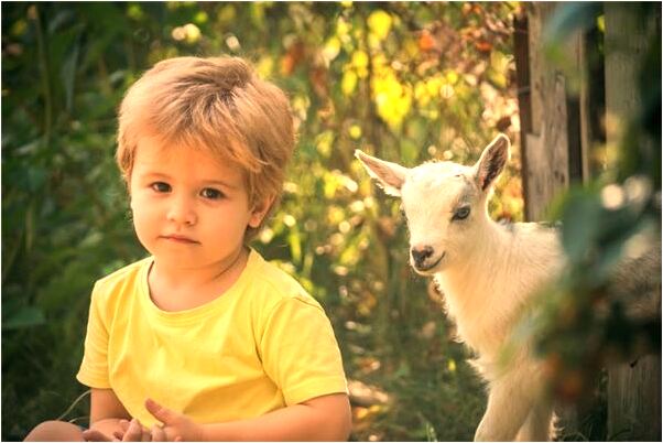 夢到了穿了一件破舊是凶兆還是吉兆_周公解夢官網