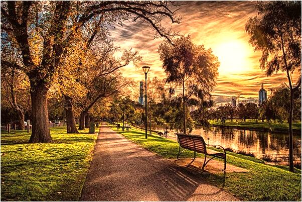 夢到了背官才有何寓意_周公解夢官網