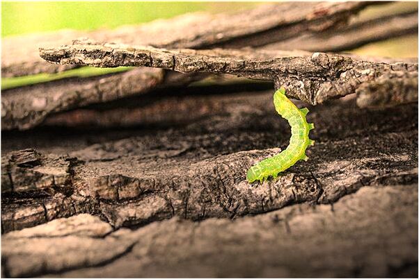 夢見老婆出事故有什麼徵兆_周公解夢官網