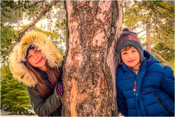 夢見松林被大風颳代表著什麼_周公解夢官網