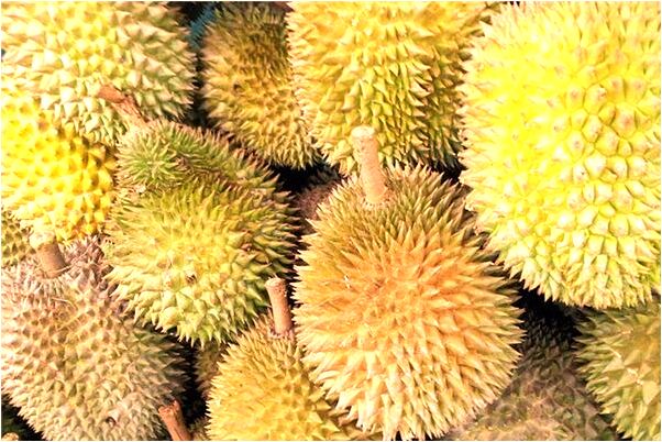 夢見自己牙全掉光了意味著什麼_周公解夢官網