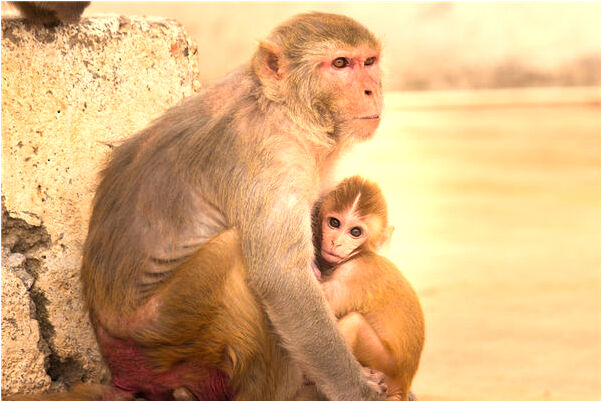 夢到被大洪水沖走有什麼徵兆_周公解夢官網