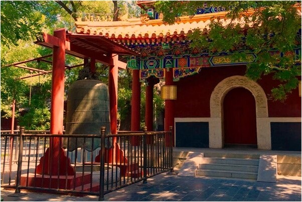 夢到了女兒的乳房意味著什麼_周公解夢官網