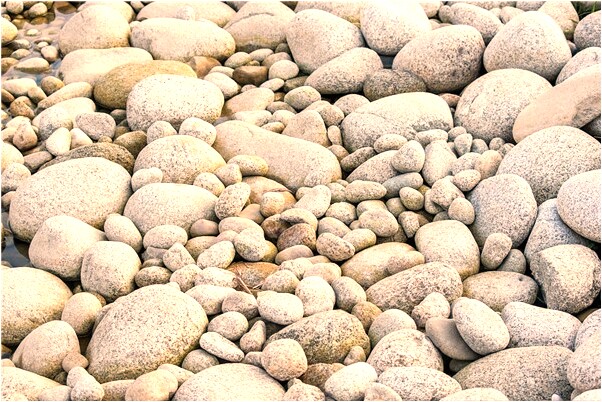 夢到全家往賓館是啥意思_周公解夢官網