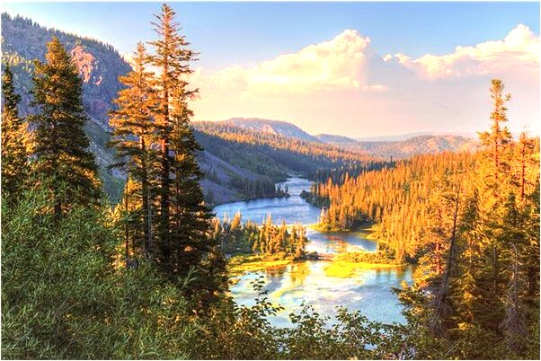 夢到了插別人的屁眼是吉兆嗎?_周公解夢官網