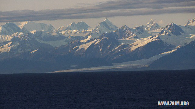 夢見知了的幼蟲_周公解夢夢到知了的幼蟲是什麼意思_做夢夢見知了的幼蟲好不好_周公解夢官網