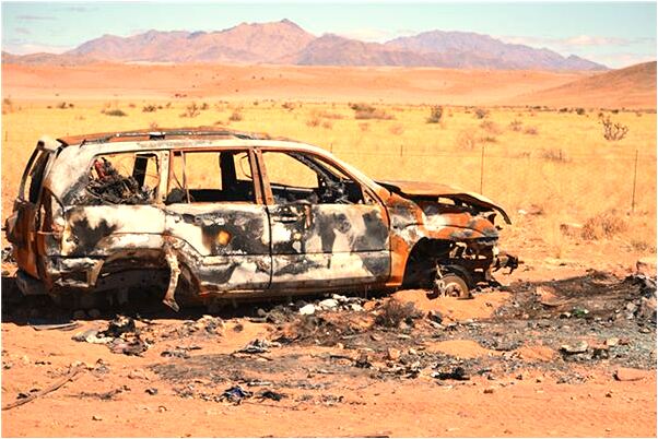 夢見抓住狗被關了起來有什麼預示嗎_周公解夢官網