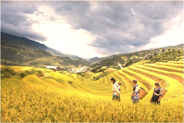 夢到了惡霸堵車殺人是凶兆還是吉兆_周公解夢官網