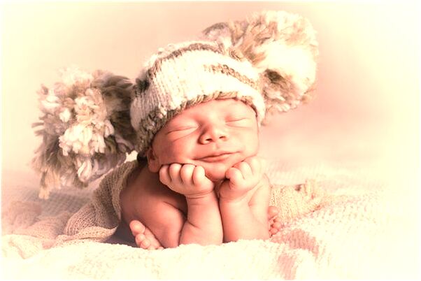 夢到了羊頭流血跑來預示什麼_周公解夢官網