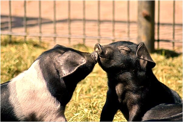 夢到有人問自已情況是什麼預兆？_周公解夢官網
