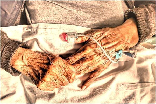 夢到了在買冬瓜是怎么回事_周公解夢官網