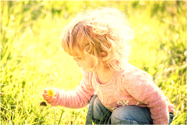 夢到五條紅色的金魚答案的預兆_周公解夢官網