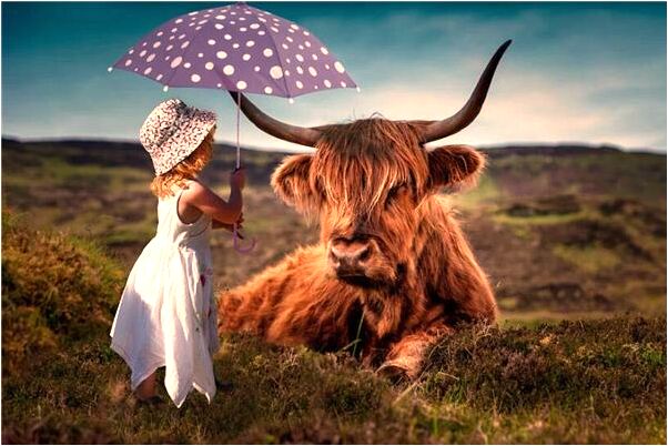 夢到了剛出生的狗掉進水裡是好事還是壞事_周公解夢官網