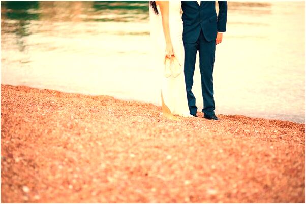 夢見家裡有一群貓怎么說_周公解夢官網