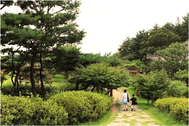 夢見偷金佛預示什麼_周公解夢官網