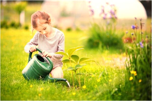 夢到了上墳下雨是什麼意思？_周公解夢官網