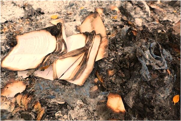 夢到了以前的同事有回來上班代表什麼_周公解夢官網