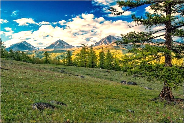 夢到自己交桃花運是什麼預兆_周公解夢官網